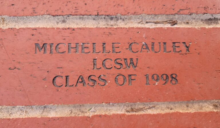 USC Michelle Cauley brickrev